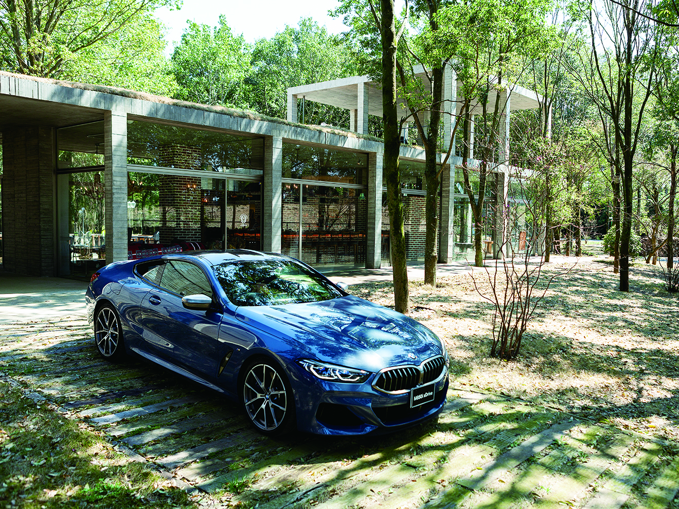 BMW 8シリーズ クーペ外観