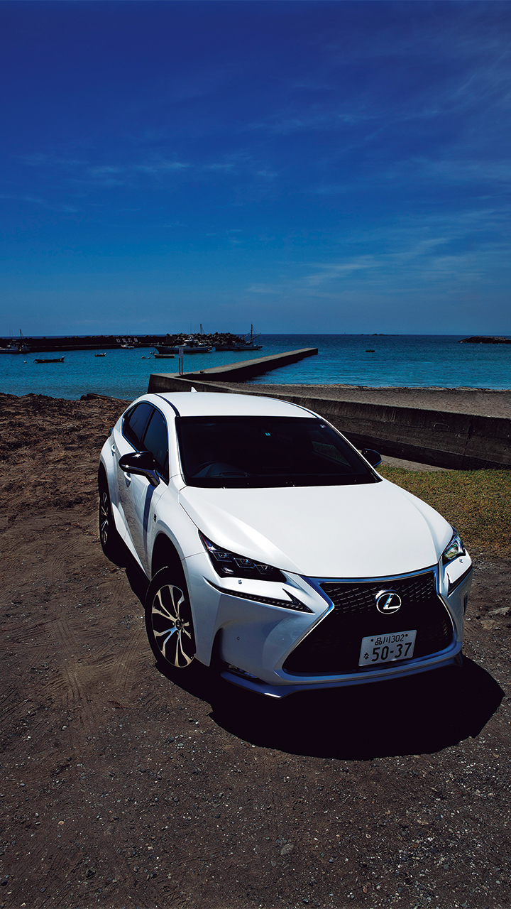 LEXUS NX200t F SPORT