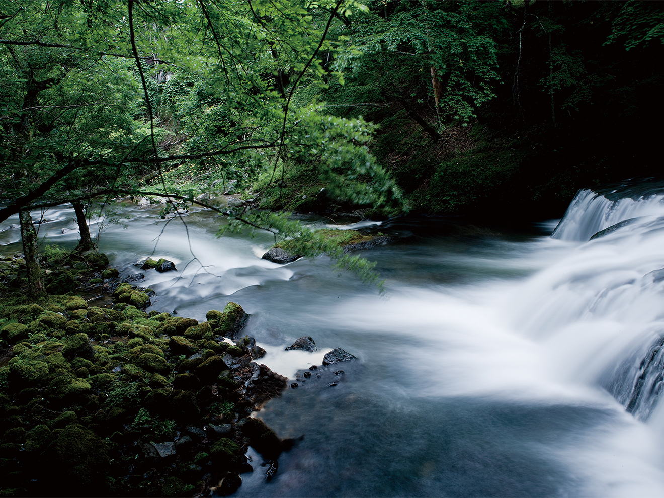 中禅寺湖に注ぐ湯川