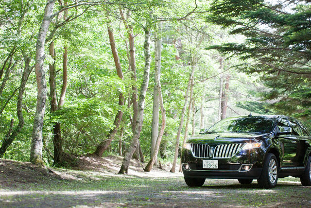 森を駆け抜ける LINCOLN