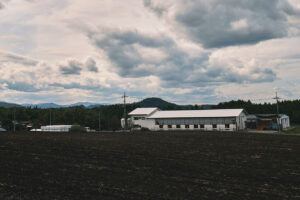 前田牧場